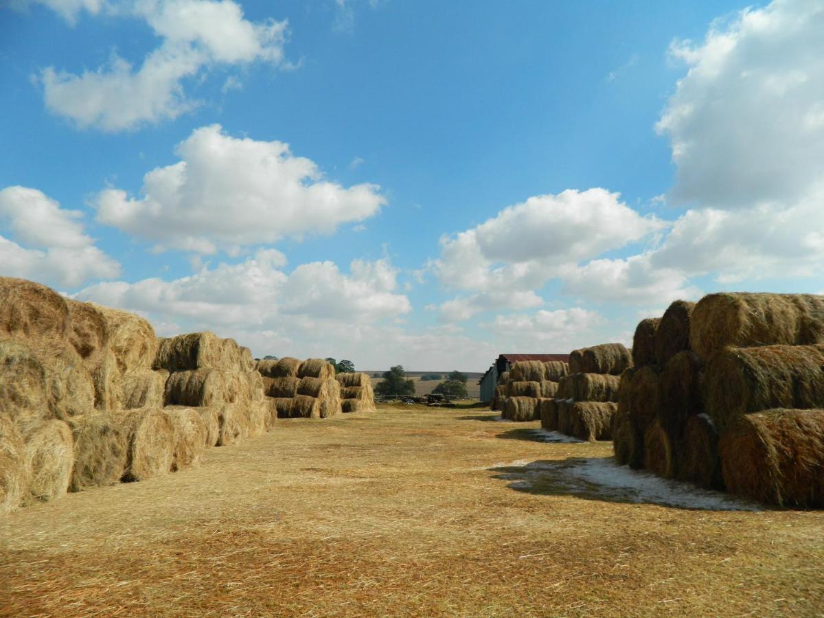 La Vista Farm Stay Ermelo Ngoại thất bức ảnh